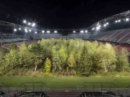 une forêt dans un stade