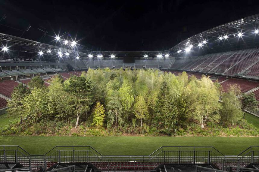 une forêt dans un stade