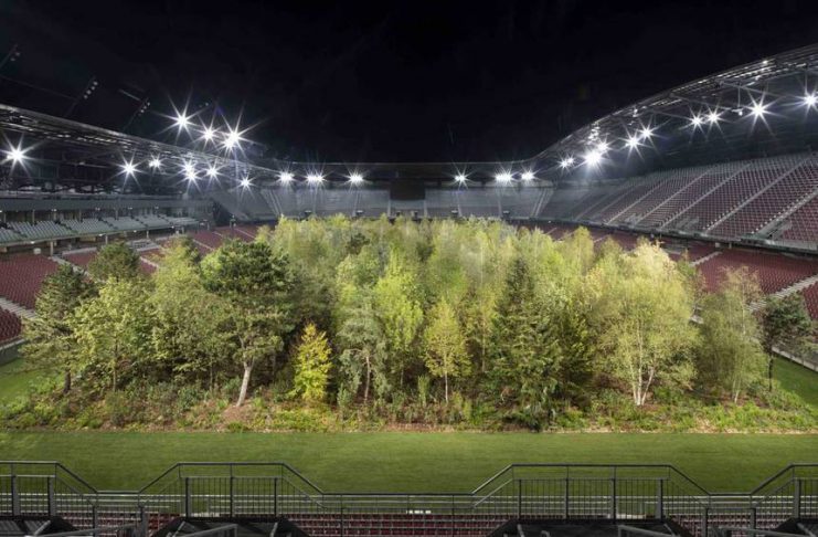 une forêt dans un stade